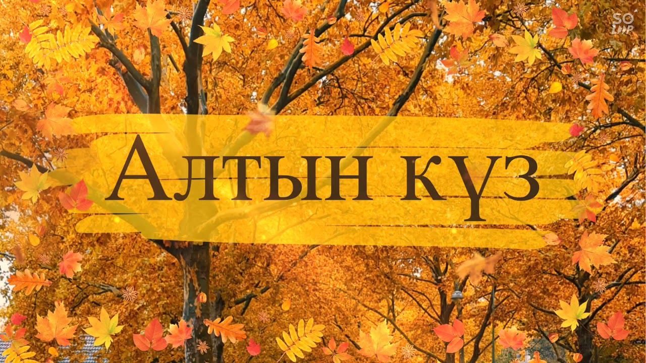 5, 8 сыныптар